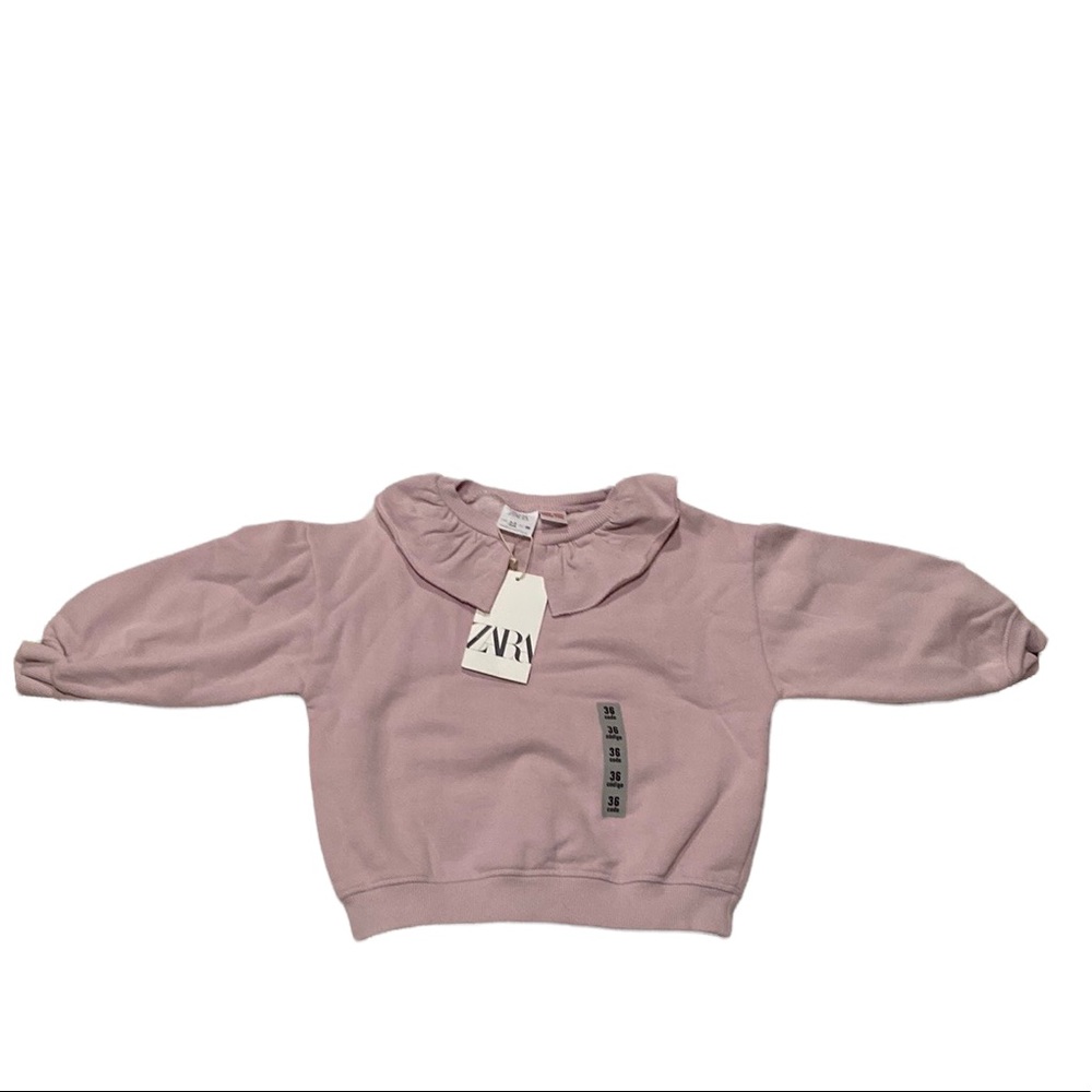 NWT Size 2-3 toddler girls Zara sweatshirt